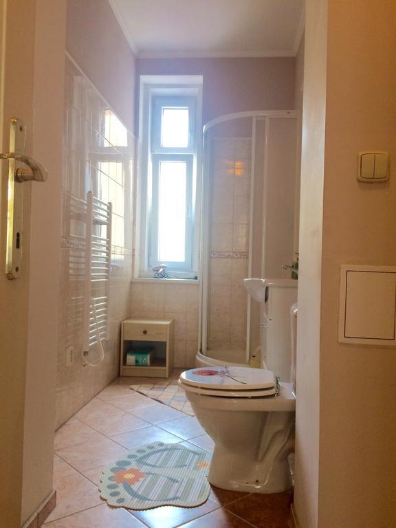 Blue Rose Apartman Karlovy Vary Dış mekan fotoğraf