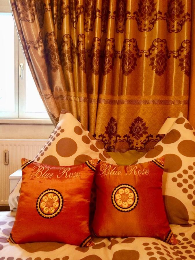 Blue Rose Apartman Karlovy Vary Dış mekan fotoğraf