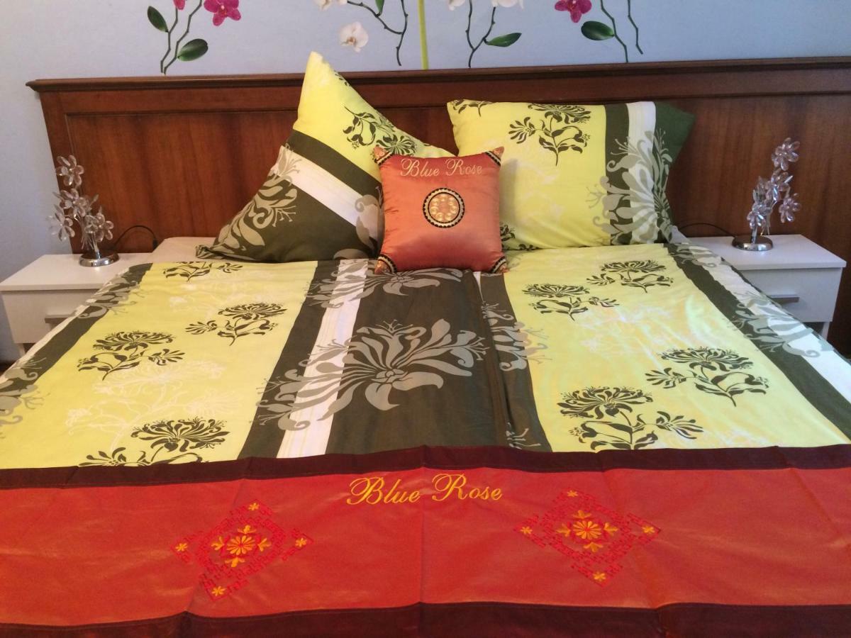 Blue Rose Apartman Karlovy Vary Dış mekan fotoğraf