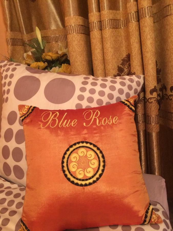 Blue Rose Apartman Karlovy Vary Dış mekan fotoğraf