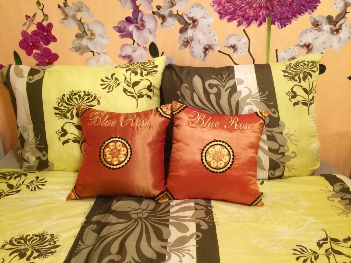 Blue Rose Apartman Karlovy Vary Dış mekan fotoğraf