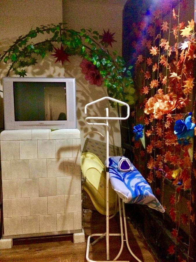 Blue Rose Apartman Karlovy Vary Dış mekan fotoğraf