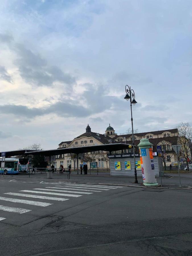 Blue Rose Apartman Karlovy Vary Dış mekan fotoğraf