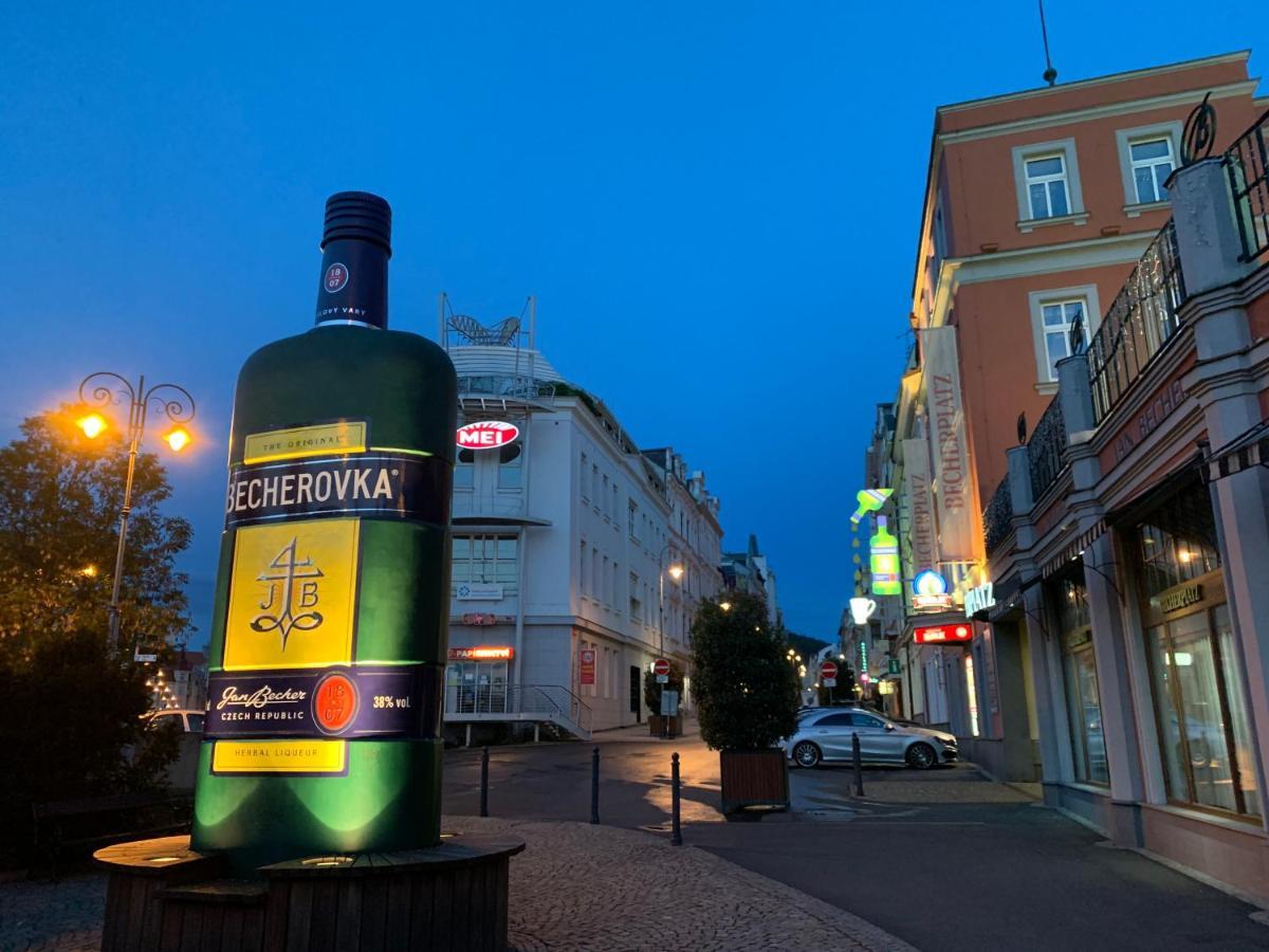 Blue Rose Apartman Karlovy Vary Dış mekan fotoğraf